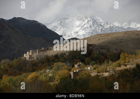 Ein Hirte mit Vieh auf einem Hügel über dem Dorf Istalif, in den Ausläufern der Hindu Kush Bergen in Afghanistan thront. Stockfoto