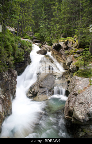 Hohe Tatra - Wasserfälle - Bielovodske - Slowakei Stockfoto