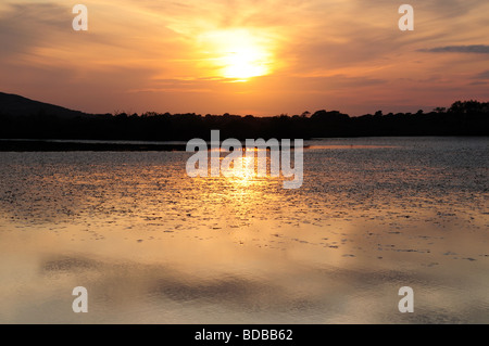 Sonnenuntergang über breite Pool Cefn Bryn Gower Halbinsel Glamorgan Wales Cymru UK GB Stockfoto