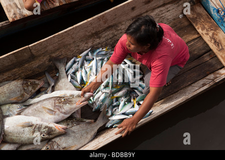 Indonesien Sulawesi Kaledupa Insel Ambuea Fischmarkt Dorf lokalen Frau verkaufen Fang vom kleinen Fischerboot Stockfoto