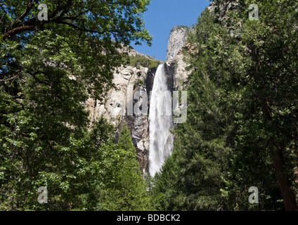 Ein Blick durch große grüne Bäume des malerischen Bridal Veil Falls drop von 620 Fuß im Wald des Yosemite National Park von Kalifornien. Stockfoto