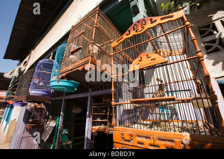 Indonesien-Sulawesi-Barru eingesperrt Singvögel zum Verkauf außerhalb shop Stockfoto