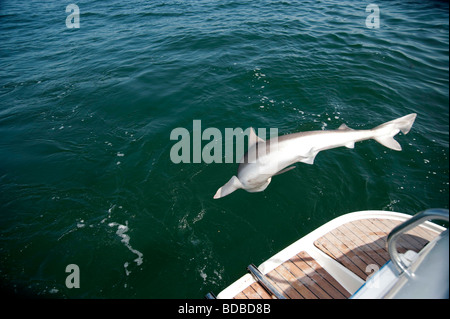 BDSM, Angeln von einem Boot aus Angeln. Stockfoto