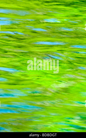 Muster des Flusses Sorgue Fontaine de Vaucluse, Provence, Frankreich Stockfoto