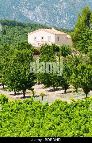 Villa am Stadtrand von Goult, Provence, Frankreich Stockfoto