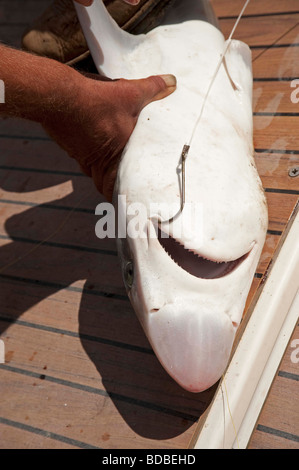 BDSM, Angeln von einem Boot aus Angeln. Stockfoto