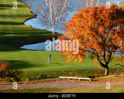 einzelne Golfer Golf Knüppeln auf grün mit starkem Licht am Nachmittag und im Herbst fallen, Bäume und See im Hintergrund Stockfoto