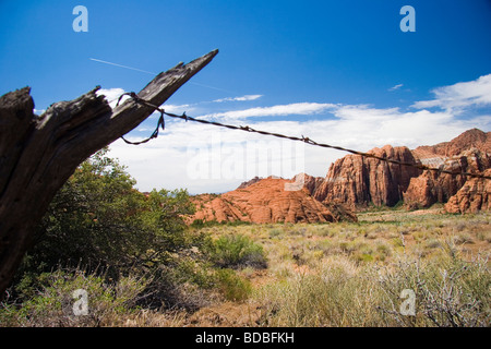 Utah State Park, USA Stockfoto