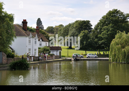 Des Arztes Teich, Great Dunmow, Essex, England, Vereinigtes Königreich Stockfoto