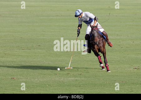 Polo-Spieler bei Cartier International Dubai Polo Challenge 2007 Stockfoto