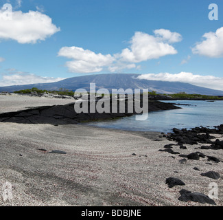 Ein Blick auf die Vulkanlandschaft der Insel Fernandina. Stockfoto