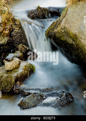 Fließender Strom an Druidston Haen, Pembrokeshire, West Wales, UK Stockfoto