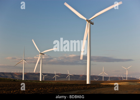 Windpark, Turbinen in brachliegenden Feld tätig. Stockfoto