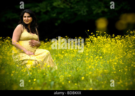 Hochschwangere Dame sitzt in einem Feld von Butterblumen Stockfoto