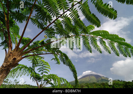 Mount Mayon Vulkan, Albay, Bicol, Südosten Luzon, Philippinen Stockfoto