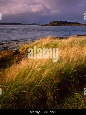 Firth of Lorn, gesehen von der Isle of Eriska, Argyll, Schottland, Großbritannien. Stockfoto