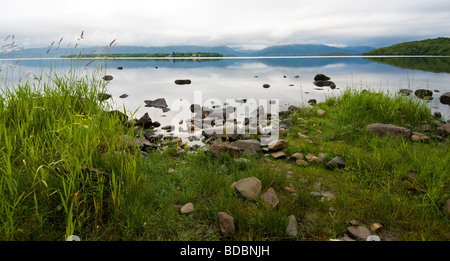 Ost Ufer von Loch Lomond Stockfoto