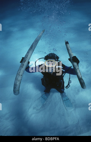 Elefanten-Stoßzähne erholte sich von dem Schiffbruch Las Maravillas versenkt in 1658 Bahamas Stockfoto