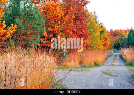 Deutschland, Odenwald: Fuß Weg in Hirschberg in Limbach Stockfoto