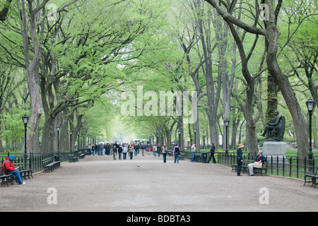 Menschen gehen im Central Park in New York City Stockfoto