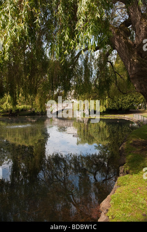 Ein schöner Tag in Beacon Hill Park, Victoria, Britisch-Kolumbien. Eine Bogenbrücke aus Stein und Teich bietet ein idyllischer Ort für das Mittagessen Stockfoto