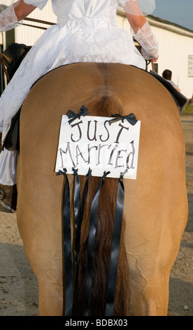 Frisch verheiratete Zeichen auf Pferd Stockfoto