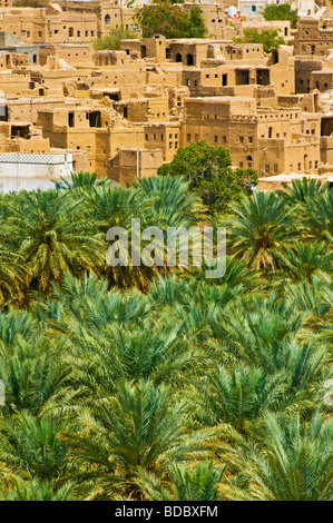 Palmen vor der Stadt Al Hamra Sultanate von Oman Stockfoto