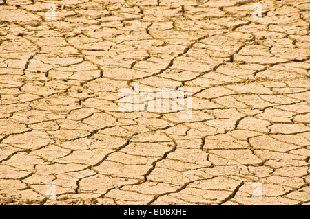 Getrocknete Erde Stockfoto