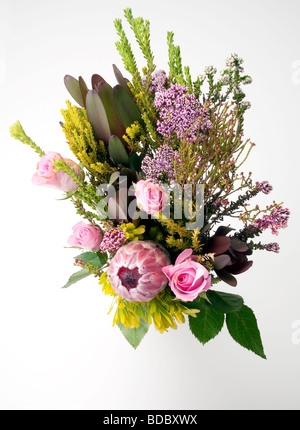 Blume-Sortiment von oben mit weißem Hintergrund Stockfoto