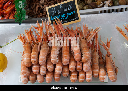 Frischen Fisch und Meeresfrüchte für den Verkauf in den Fischmarkt in Trouville, Normandie, Frankreich Stockfoto