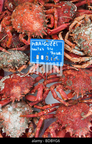 Frischen Fisch und Meeresfrüchte für den Verkauf in den Fischmarkt in Trouville, Normandie, Frankreich Stockfoto