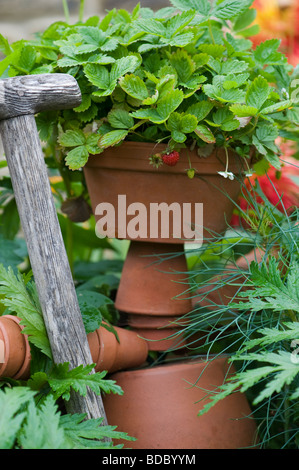 Flower Pot Mann mit wilde Erdbeere Pflanze Haar Stockfoto