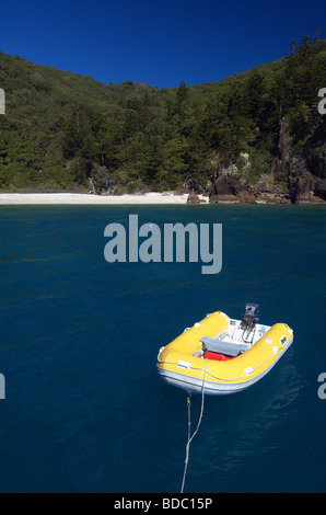 Gelbe Schlauchboot im Manta Ray Bay, Hook Island, Queensland, Australien Whitsunday Islands National Park. Keine PR Stockfoto