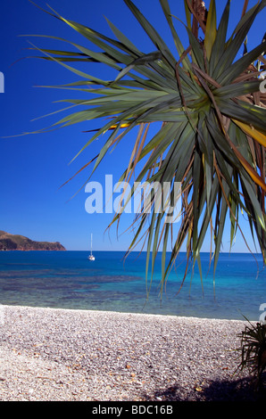 Einsamer Yacht ankern in Maureen es Cove, Hook Island, Whitsunday Islands Nationalpark, Queensland, Australien Stockfoto