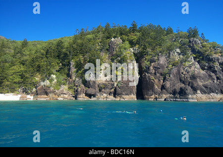 Schnorchler in Manta Ray Bay Hook Insel Whitsunday Islands National Park-Queensland-Australien Stockfoto