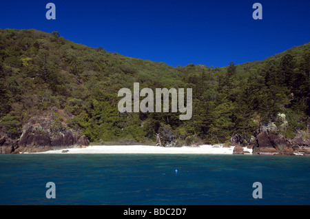 Manta Ray Bay eine berühmte Schnorcheln vor Ort auf Hook Insel Whitsunday Islands National Park Queensland Australien Stockfoto