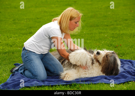 Frau mit Bobtail Old English Sheepdog streicheln, streicheln Stockfoto