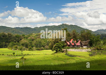 Indonesien Sulawesi Tana Toraja Gemeinschaft traditionellen Tongkonan Häuser in kultivierten Reisfelder Stockfoto