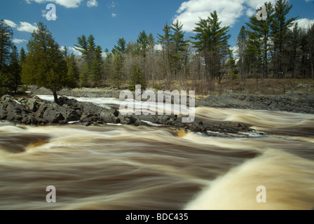 Jay, Cooke, State Park, Minnesota, USA, Stockfoto