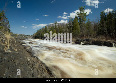 Jay, Cooke, State Park, Minnesota, USA, Stockfoto