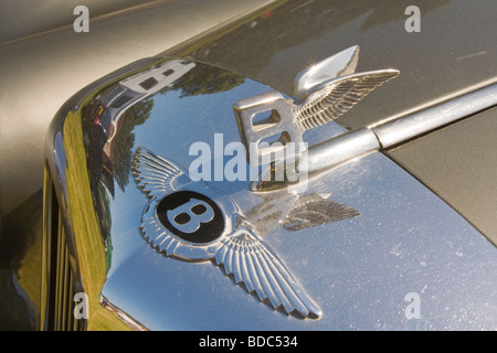 Flying B Abzeichen und Maskottchen auf Motorhaube von einem Bentley Stockfoto