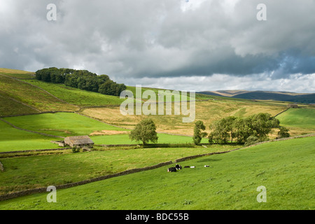 Ackerland in Sleddale, eine kleine Seite Dale aus Wensleydale, in der Nähe von Hawes North Yorkshire. Stockfoto