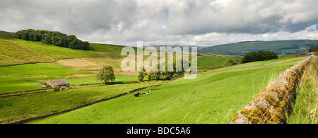 Ackerland in Sleddale, eine kleine Seite Dale aus Wensleydale, in der Nähe von Hawes.  North Yorkshire Stockfoto