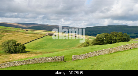 Ackerland in Sleddale, eine kleine Seite Dale aus Wensleydale, in der Nähe von Hawes.  North Yorkshire Stockfoto