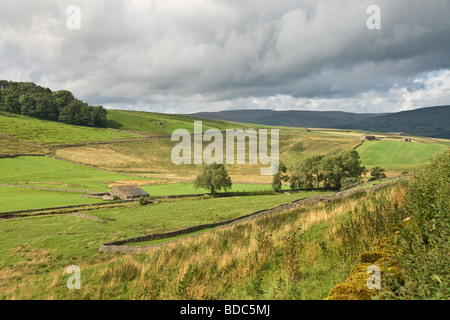 Ackerland in Sleddale, eine kleine Seite Dale aus Wensleydale, in der Nähe von Hawes.   North Yorkshire Stockfoto