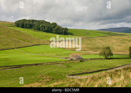 Ackerland in Sleddale, eine kleine Seite Dale aus Wensleydale, in der Nähe von Hawes North Yorkshire Stockfoto