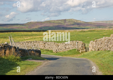 Eine schmale Landstraße durch Swaledale, Yorkshire Dales National Park Stockfoto