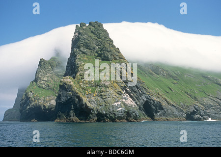 Insel Boreray im Saint Kilda Archipel Schottland Juli Stockfoto