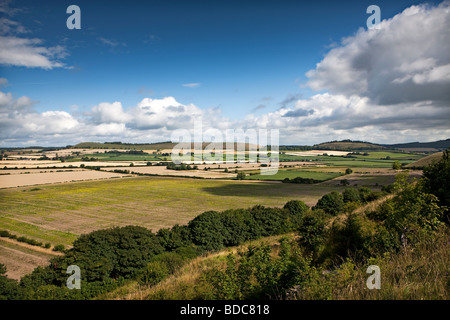 Weißes Blatt unten mit langen Knoll und wenig Knoll in der Mitteldistanz in Wiltshire, England Stockfoto