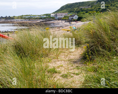 Ein Blick durch den Rasen am Strand in Port Eynon, Gower Halbinsel Swansea Wales UK Stockfoto